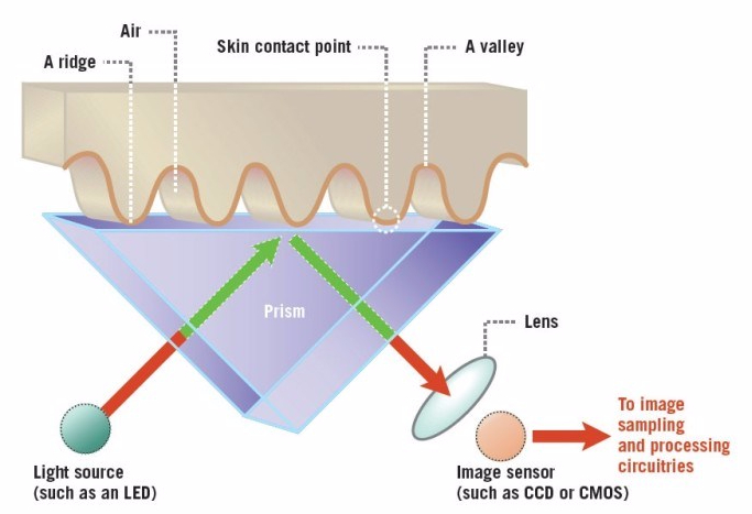 optical-fingerprint-sensor
